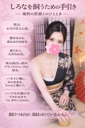 しろなの写メ日記｜ヴェルサイユ 吉原高級店ソープ