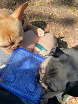 あんずの写メ日記｜ヴェルサイユ 吉原高級店ソープ