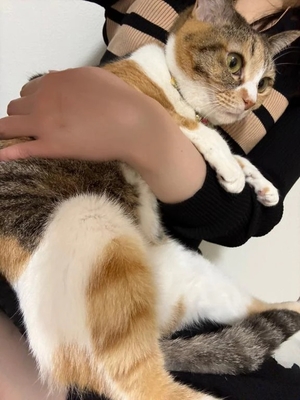 咲良の写メ日記｜ヴェルサイユ 吉原高級店ソープ