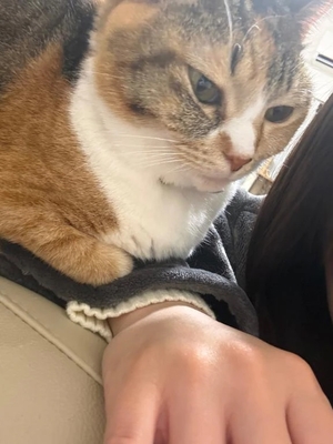 咲良の写メ日記｜ヴェルサイユ 吉原高級店ソープ