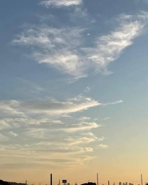 つばきの写メ日記｜鹿鳴館 吉原高級店ソープ