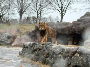 かれんの写メ日記｜鹿鳴館 吉原高級店ソープ