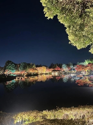 ななの写メ日記｜鹿鳴館 吉原高級店ソープ