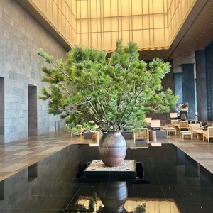 まこの写メ日記｜鹿鳴館 吉原高級店ソープ