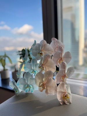 市来の写メ日記|鹿鳴館 吉原高級店ソープ