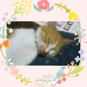 工藤なつきの写メ日記｜鹿鳴館 吉原高級店ソープ