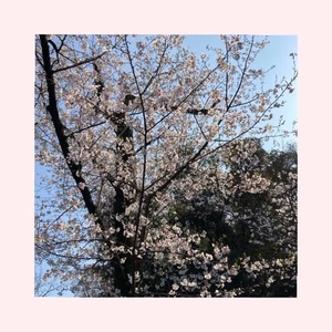 工藤なつきの写メ日記｜鹿鳴館 吉原高級店ソープ