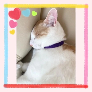 工藤なつきの写メ日記｜鹿鳴館 吉原高級店ソープ