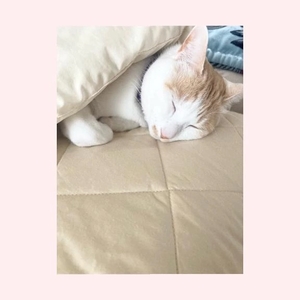 工藤なつきの写メ日記｜鹿鳴館 吉原高級店ソープ